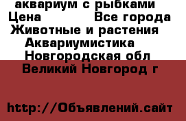 аквариум с рыбками › Цена ­ 1 000 - Все города Животные и растения » Аквариумистика   . Новгородская обл.,Великий Новгород г.